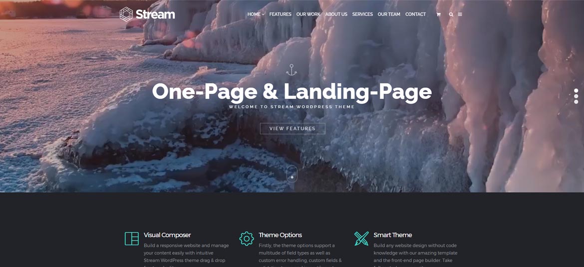 Top Selling And Most popular One Page WordPress Theme - NicheAddons