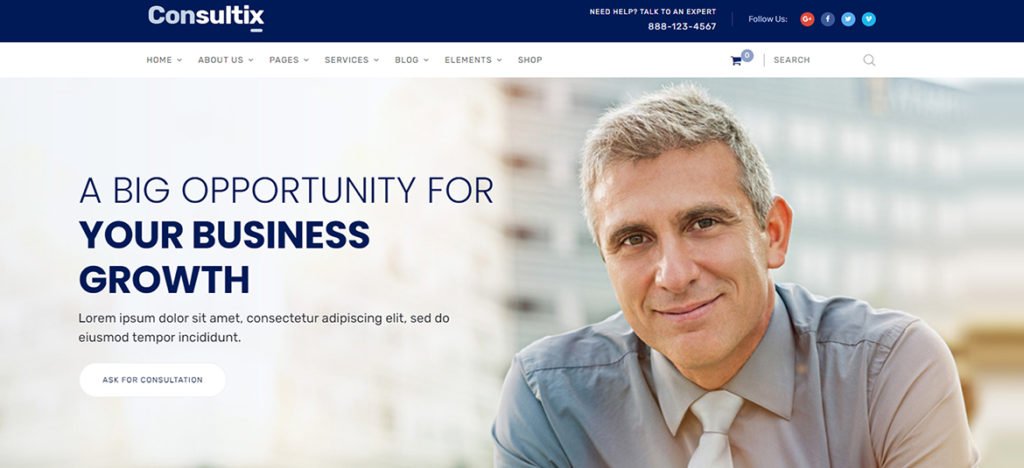 consulting wordpress themes